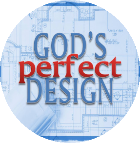What Is Gods Design For You?