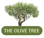 olive tree news letter logo